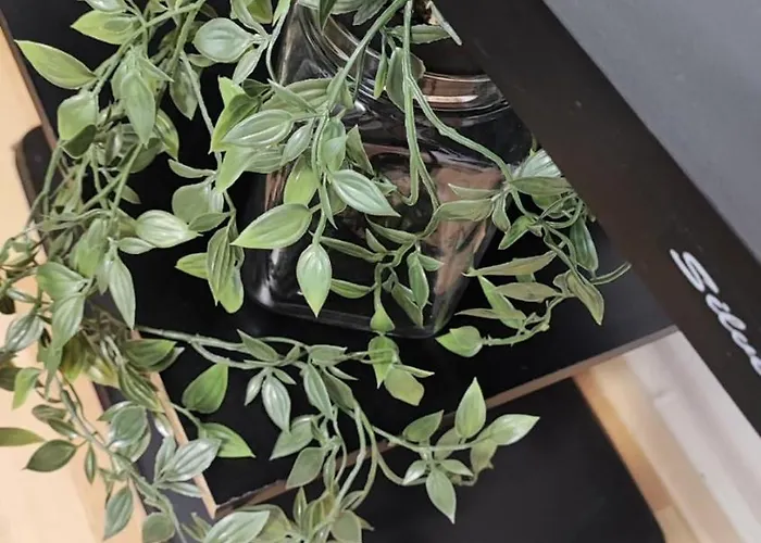 Апартаменти Spacious, Central, Free Parking Скоп'є